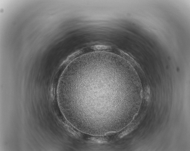X0000087570763200705041418