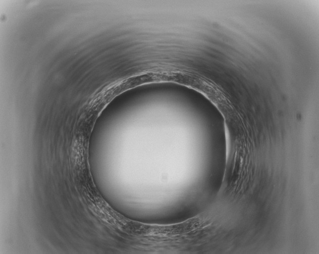 X0000087570773200705041417