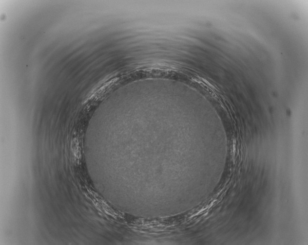 X0000087570774200705041417