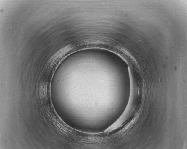 X0000087570777200705041417
