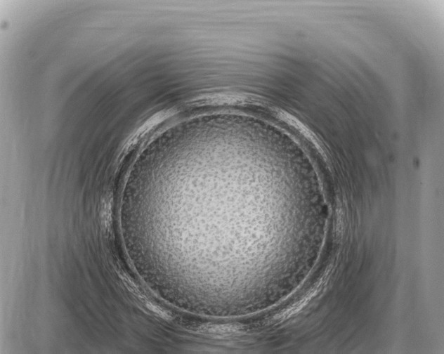 X0000087570778200705041417