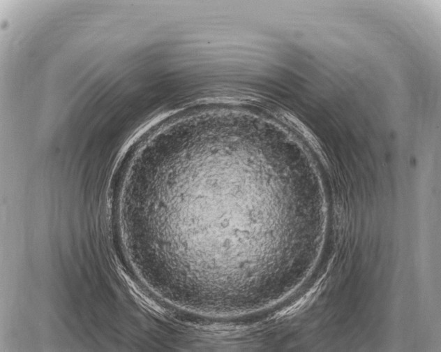X0000087570779200705041417