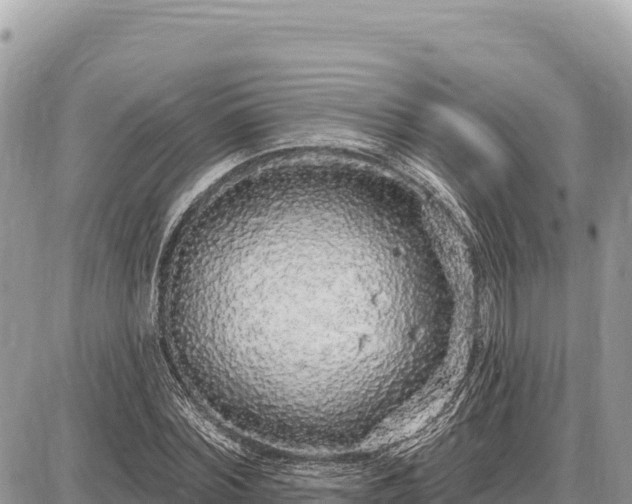 X0000087570780200705041417