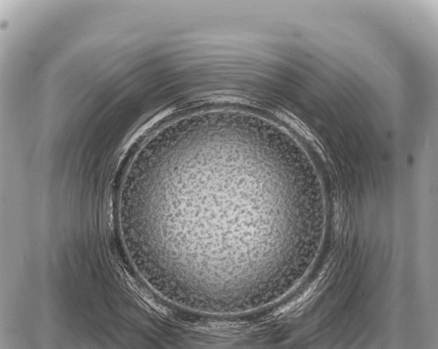 X0000087570782200705041417