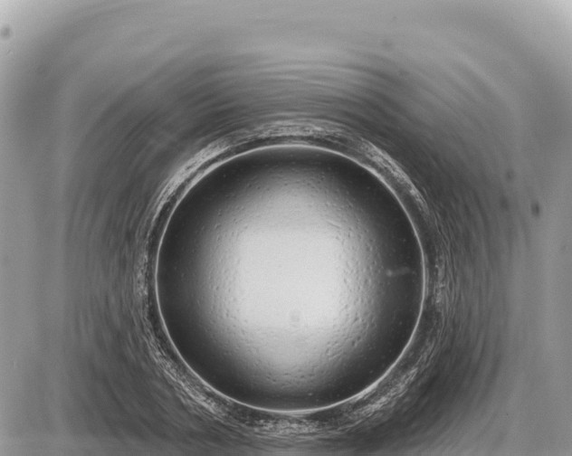 X0000087570786200705041417