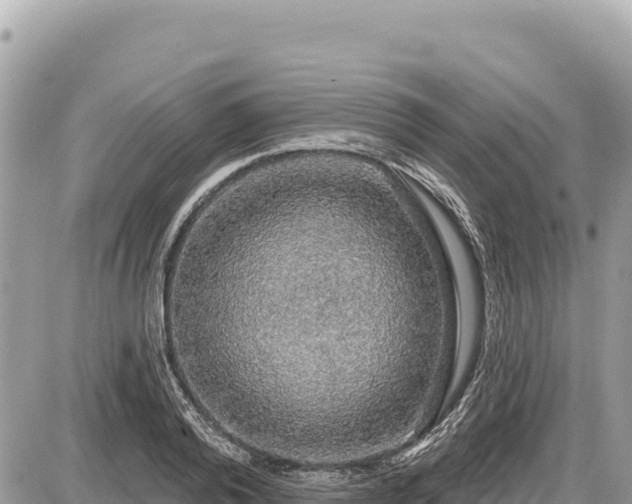 X0000087570792200705041417