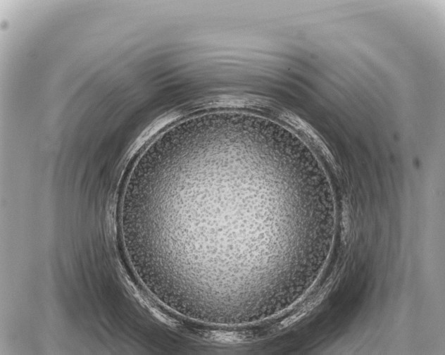 X0000087570794200705041417