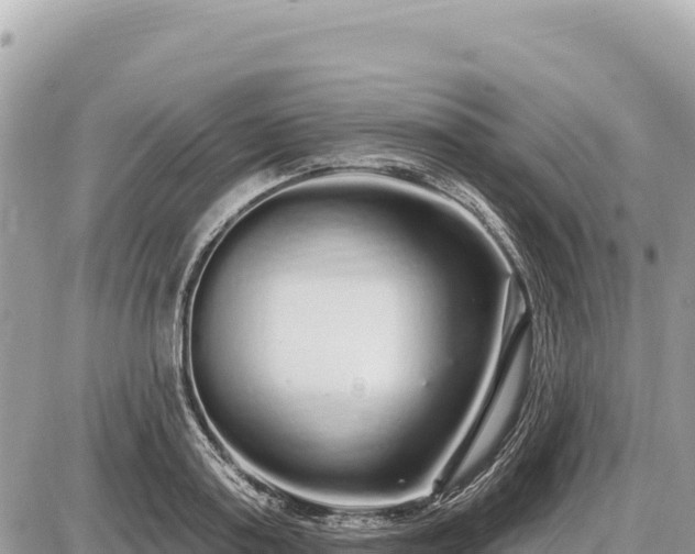 X0000087570795200705041417