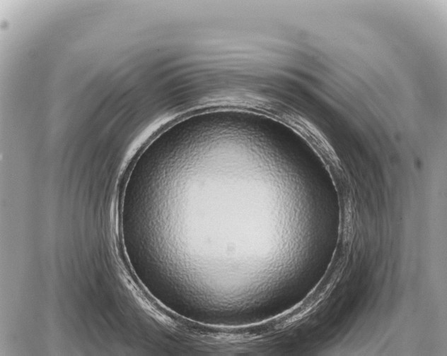 X0000087570796200705041417