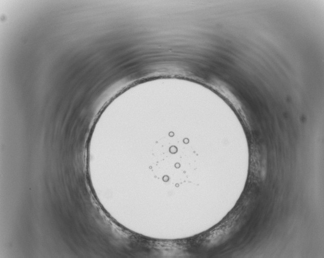 X0000087570807200705041416