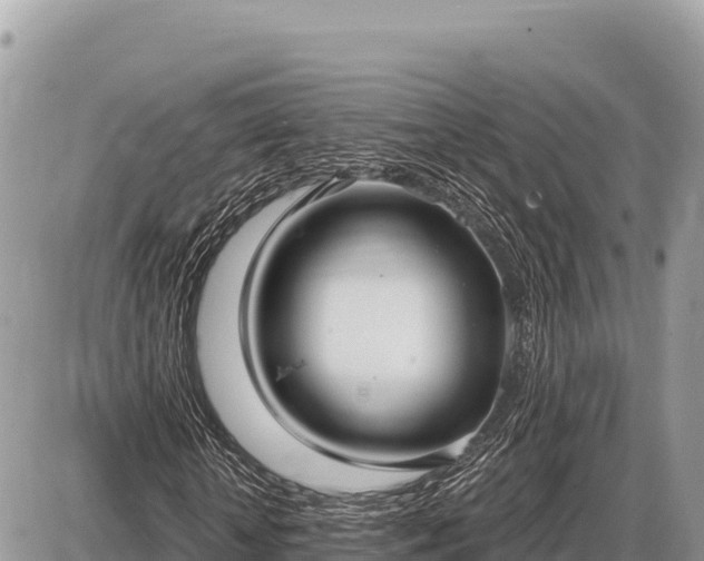 X0000087570818200705041416