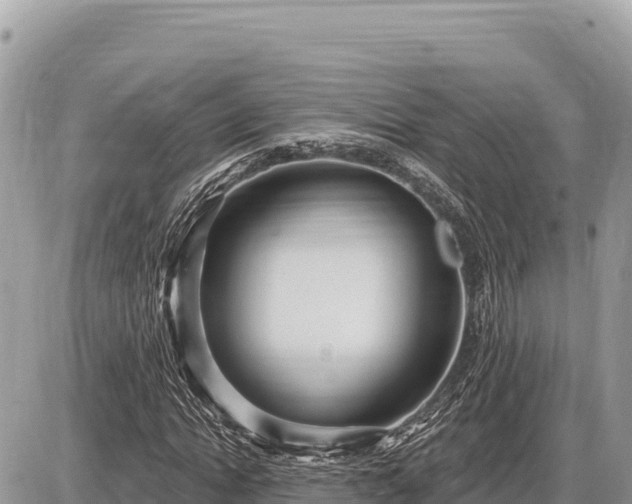 X0000087570822200705041416