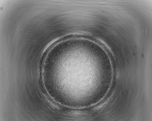 X0000087570829200705041416