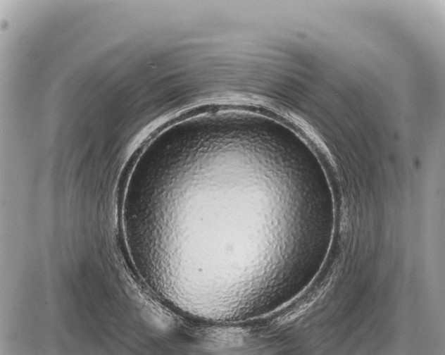 X0000087570837200705041416
