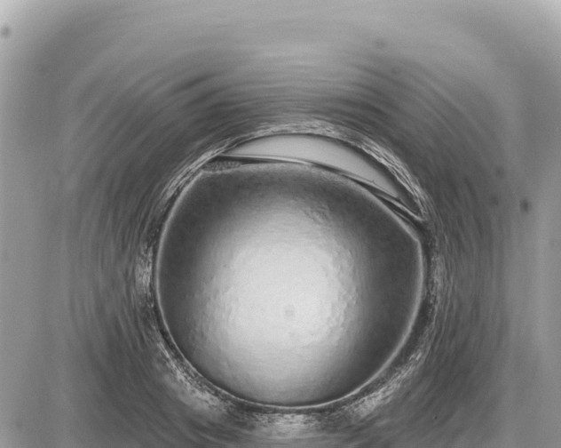 X0000087570841200705041416