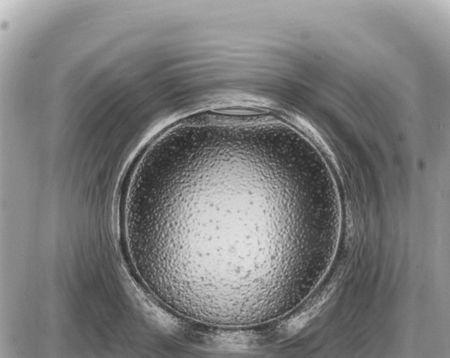 X0000087570843200705041416