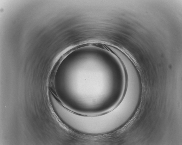 X0000087570854200705041416