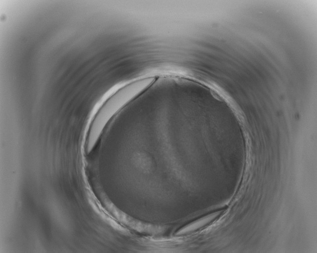 X0000087570864200705041416