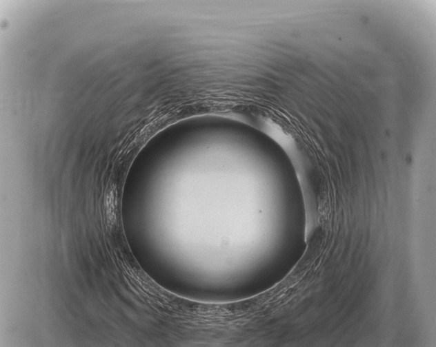 X0000087570866200705041416