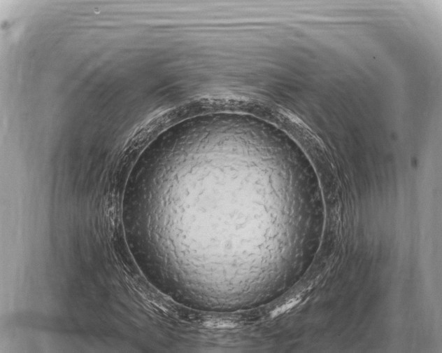X0000087570870200705041415