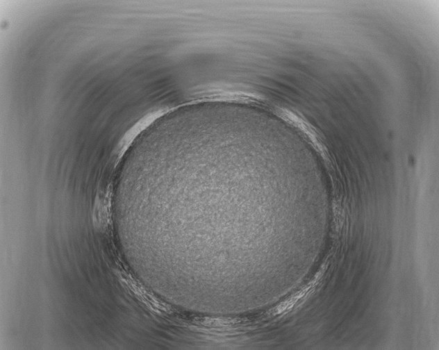 X0000087570875200705041415
