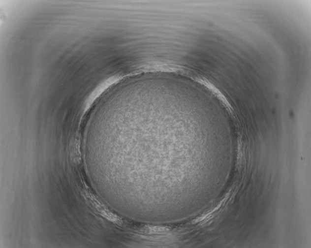X0000087570878200705041415