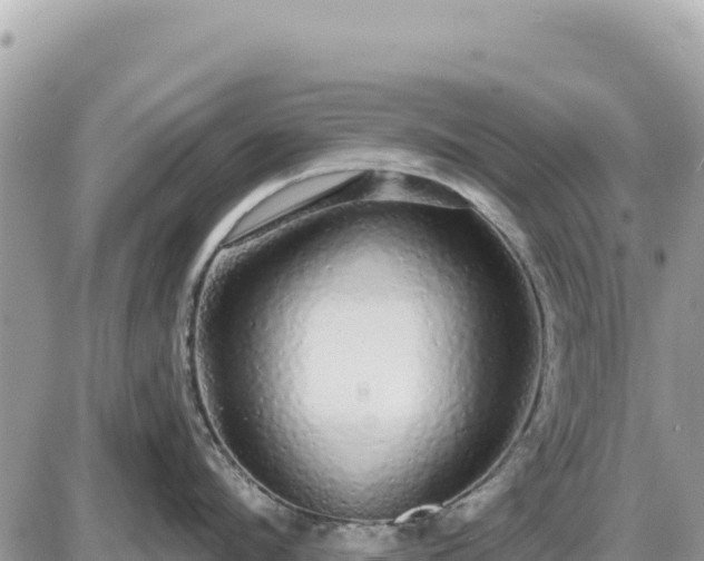 X0000087570912200705041415