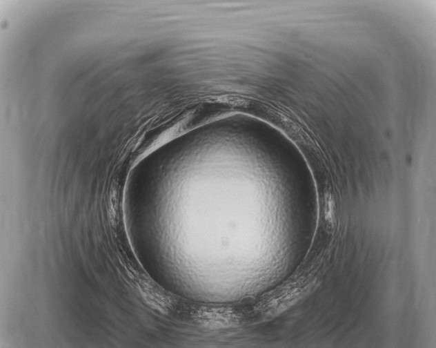 X0000087570915200705041414