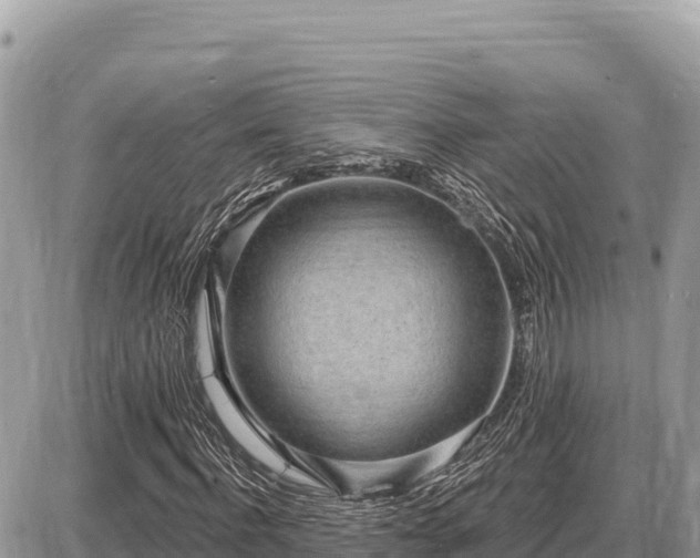 X0000087570916200705041414