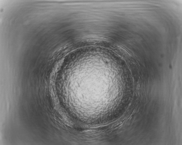 X0000087570917200705041414