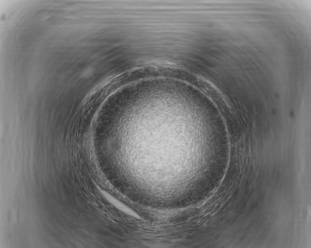 X0000087570919200705041414