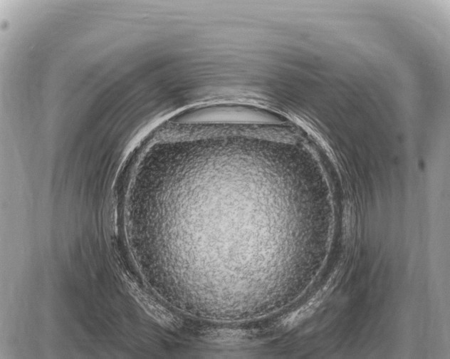 X0000087570925200705041414