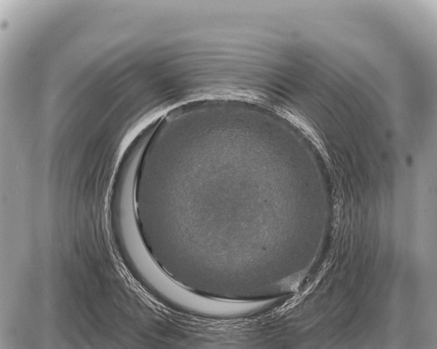 X0000087570928200705041414