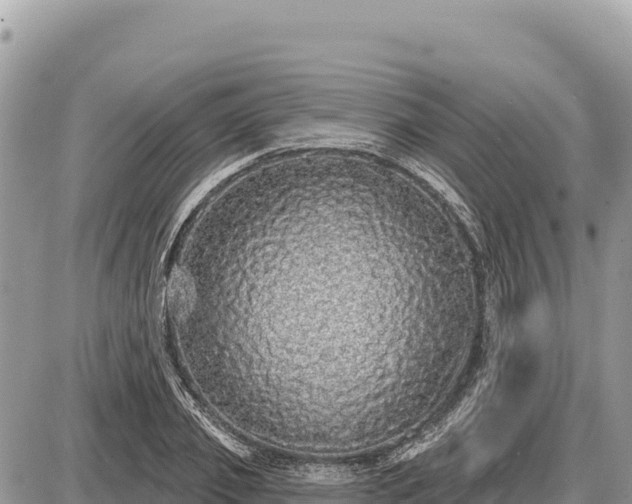 X0000087570933200705041414