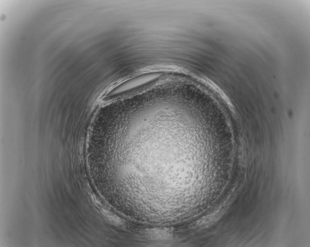 X0000087570937200705041414