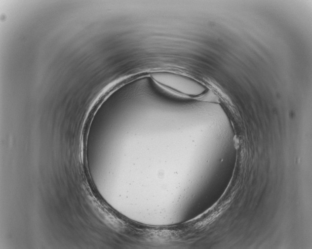X0000087570940200705041414