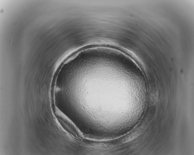 X0000087570943200705041414