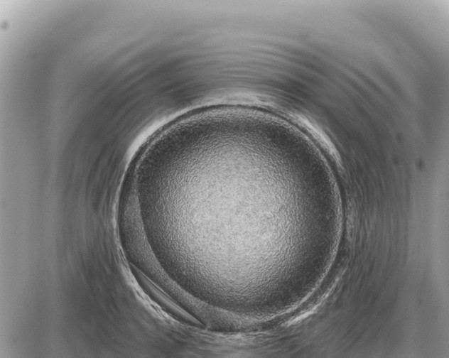 X0000087570944200705041415