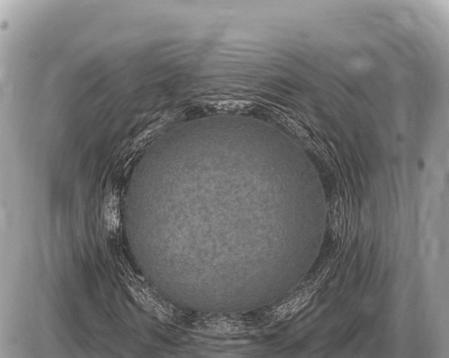 X0000087570962200705041414
