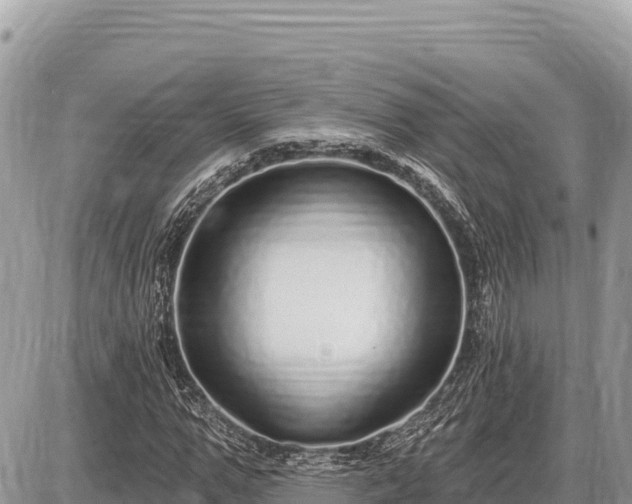 X0000087570967200705041414