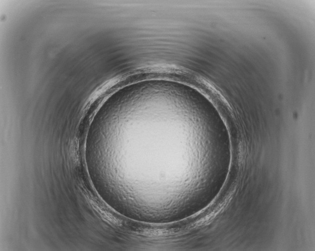 X0000087570970200705041414