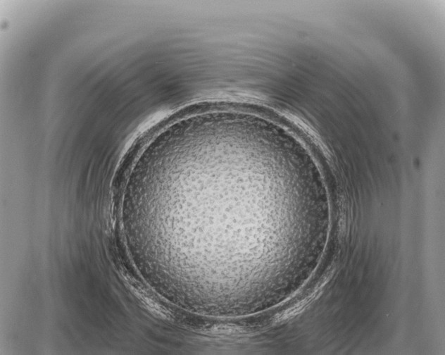 X0000087570974200705041414