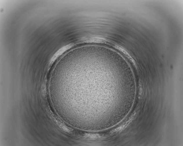 X0000087570978200705041414
