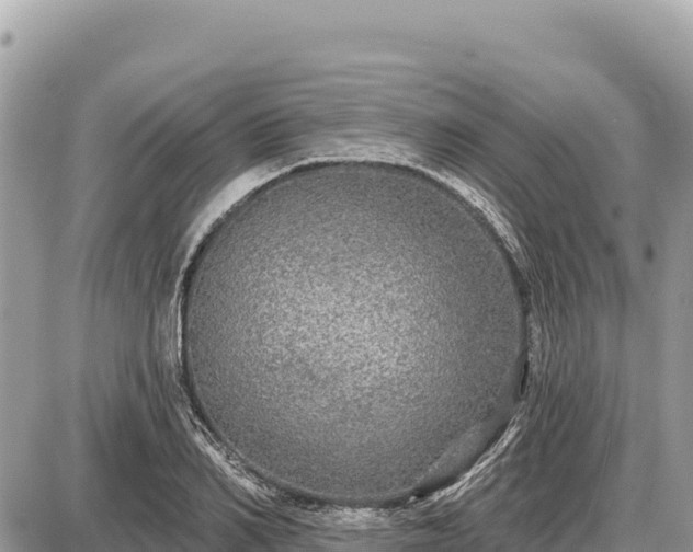 X0000087570982200705041414