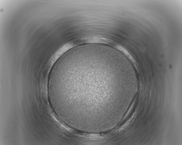 X0000087570986200705041414