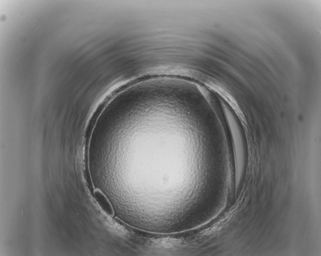 X0000087570992200705041413