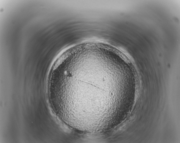 X0000087571008200705041413