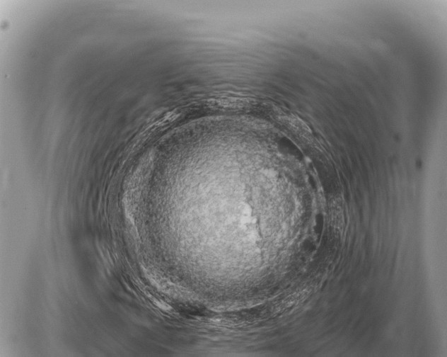 X0000087571009200705041412