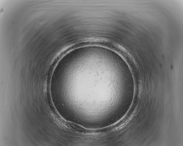 X0000087571017200705041413