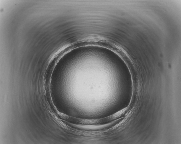 X0000087571018200705041413